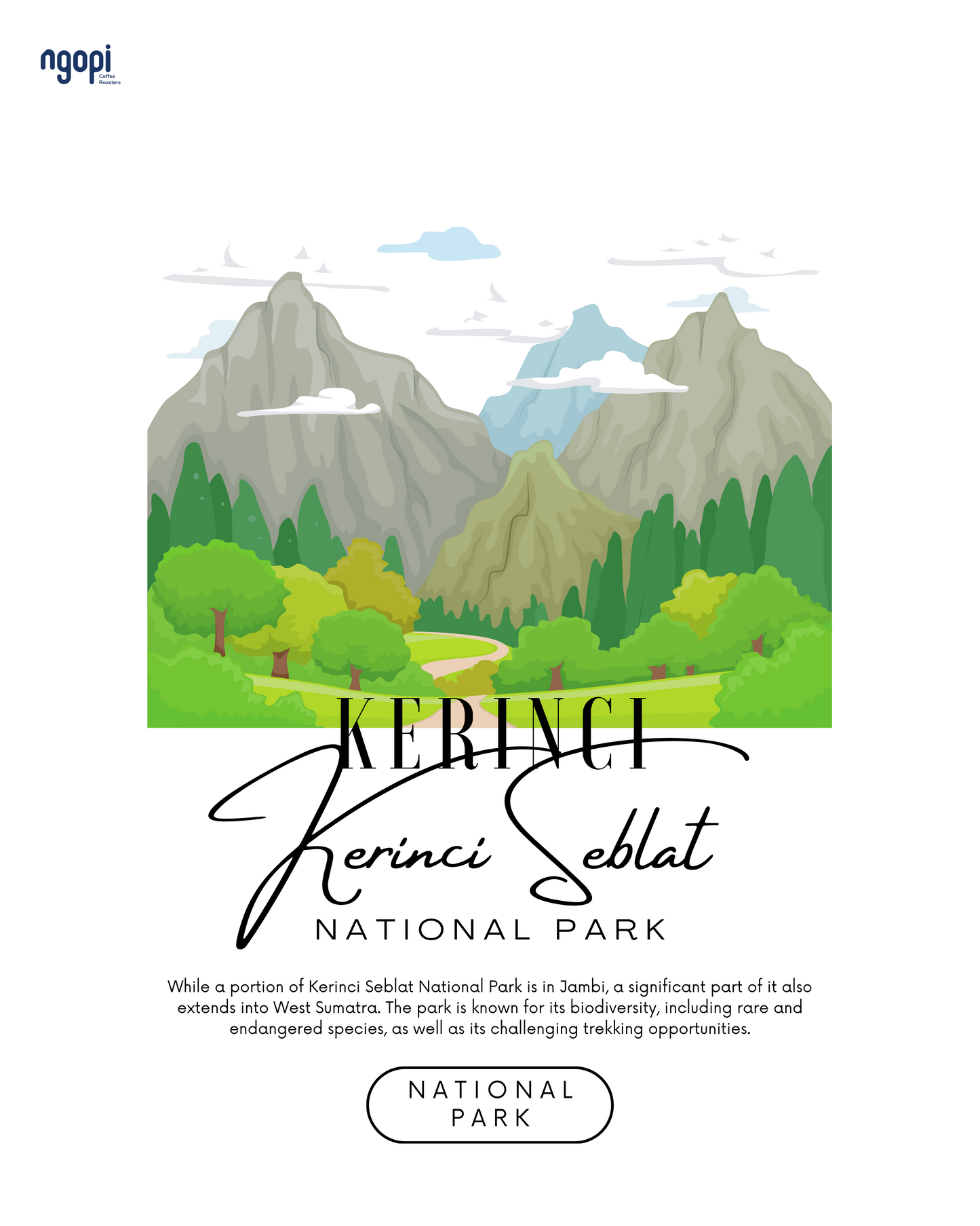 Kerinci Honey