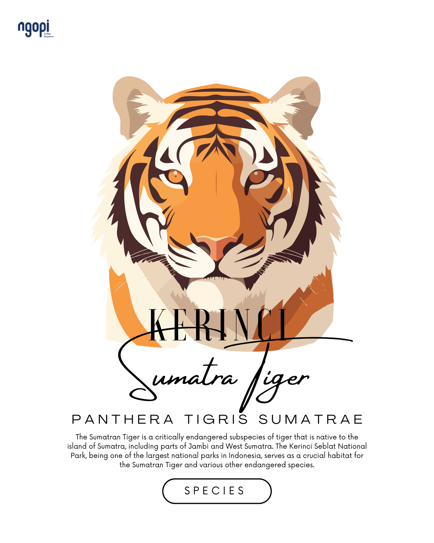Kerinci Honey