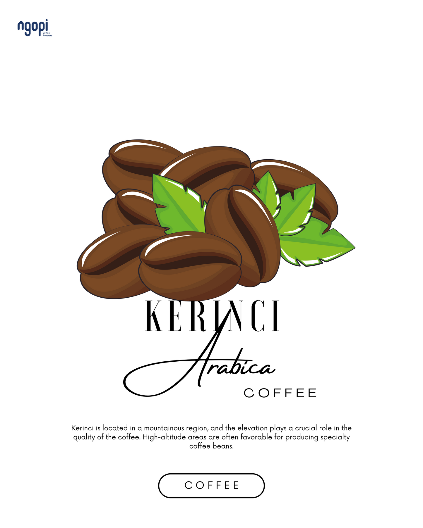 Kerinci Honey