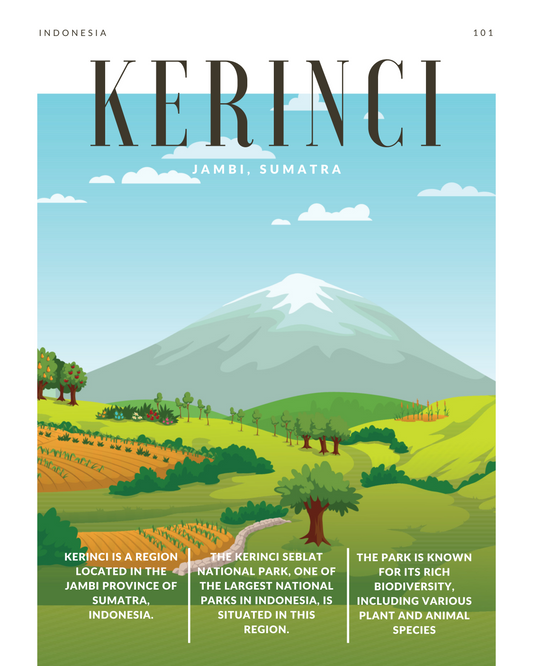 Kerinci Full Washed