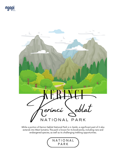 Kerinci Honey