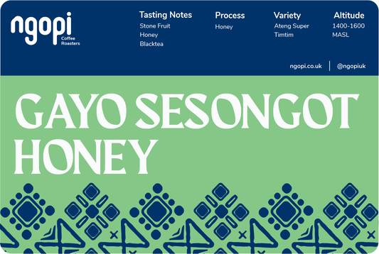 Gayo Sesongot Honey
