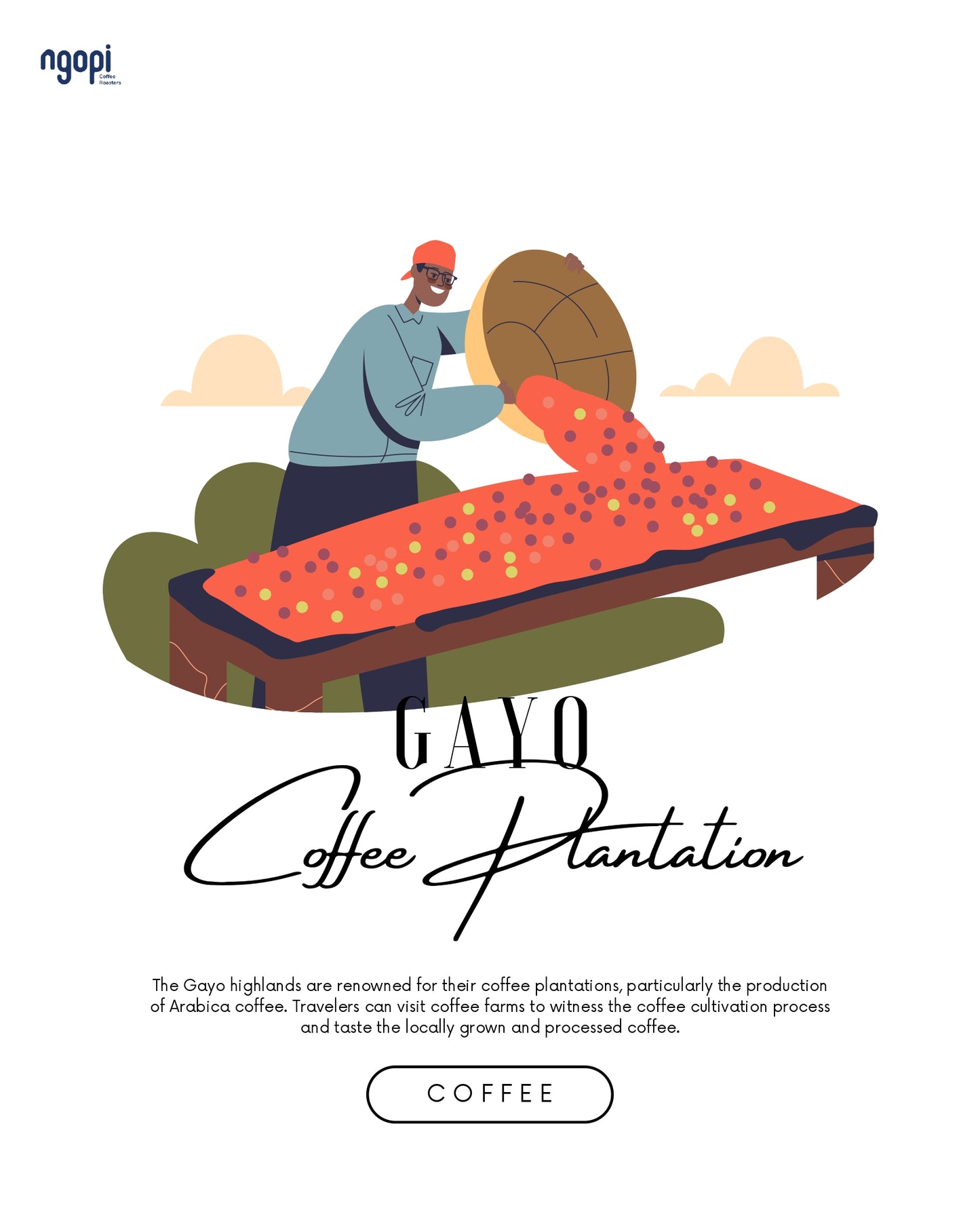 Gayo Sesongot Natural